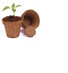 POTAS DE COIR DE ALTA CALIDAD/PRODUCTO DE VIETNAM Ms Holiday - Product Image 1