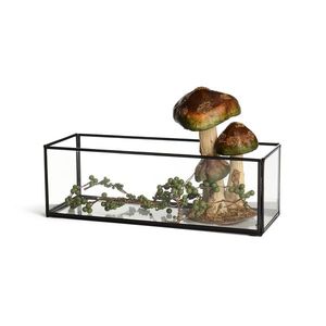 Glass <b>Display</b> <b>Case</b> With Mushrooms And Green Berries Decorative Box - Product Image 1