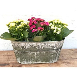 Baignoire ovale VINTAGE à poignée en fer métallique galvanisé, cuve ovale, profonde, moderne et ovale, avec poignée, livraison gratuite - Product Image 3