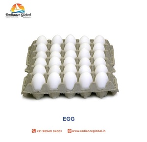 ไข่ไก่สด เกรด A ขนาดใหญ่ สีขาว ออร์แกนิค ผลิตภัณฑ์ไข่ไก่จากฟาร์ม - Product Image 5