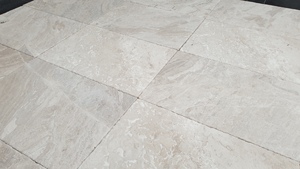 2025 Diana แบบพรีเมี่ยมลายหินอ่อนราชวงศ์สำหรับโรงแรม - Product Image 6