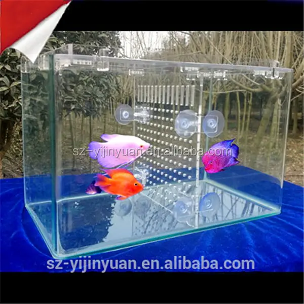Aquarium acrylique transparent, contenant pour poissons, sur mesure, fournitures d'usine