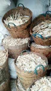 Huesos de Cuttlefish, tamaño grande, precio competitivo para 2022 - Product Image 3