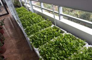 ไส้เดือนวัตถุดิบของวันหยุดปุ๋ยอินทรีย์ - Product Image 6