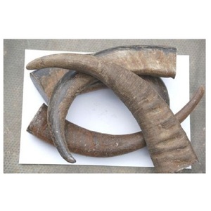 Cuerno de materias primas vendedor - Product Image 3