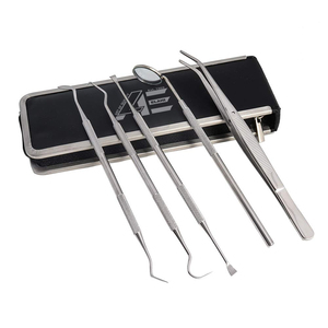 Juego de Herramientas Dentales, Kit de Instrumentos de Higiene Dental, 5 Piezas de Acero Inoxidable, Espejo Dental, Removedor de Sarro 2026, Venta al Por Mayor, LALHICO - Product Image 1