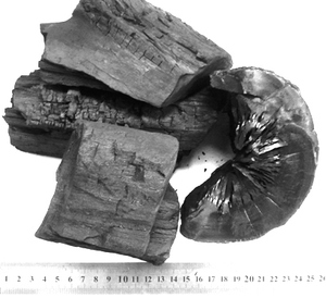 Than Nhật Bản-than Binchotan-Than Trắng Vải Thiều - Product Image 3