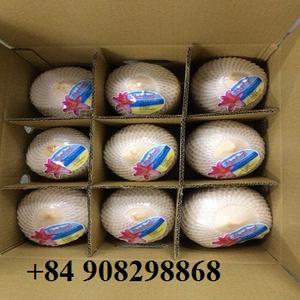 Fresh Young <strong>Coconuts</strong> - Product Image 3