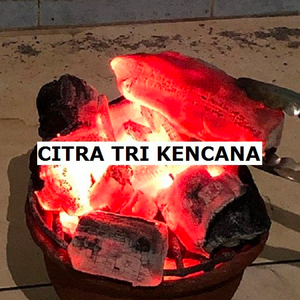 INDONESIA HALABAN CHARCOAL BEST SELLER IN Bavaria GERMANY PRICE PER TON CHARCOAL BBQ CHARCOAL GRILL 5-15 CM LONG - Product Image 1
