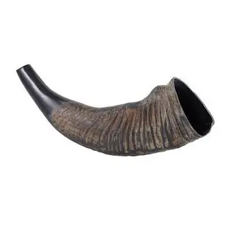 Corno decorativo di bufalo d'acqua intagliato a mano miglior corno di mucca decorativo per tavolo e corno di bufalo