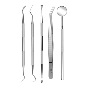 Vendita all'ingrosso di 2025 Set di strumenti dentali LALHICO per l'igiene del dentista Kit di strumenti 5 pz in acciaio inox specchio dentale tartaro - Product Image 2