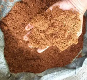 Palm Kernel kek (PKC)/hurma çekirdeği Expeller(PKE)/Palm çekirdeği unu (PKM)