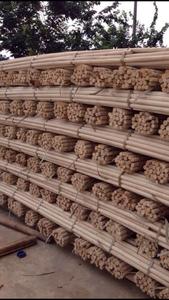 Materia Prima de Ratán/ Ratán con Cáscara/ PRODUCTO RATÁN - Product Image 5