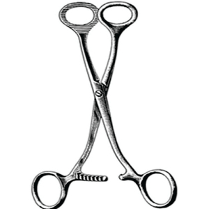 Pinza de Sujeción de Lengua Collin BEST al por Mayor, Instrumentos Dentales Modelo Best-45, Manual, Certificado CE e ISO, Alta Calidad, Más Vendido - Product Image 2