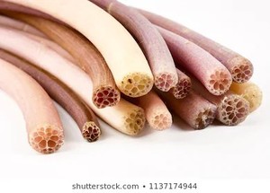 Canned Pickled Lotus Rootlet, Lotus Shoot, Stalk - Product Image 6