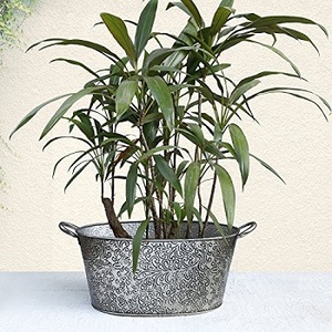 SPRING ANTIQUE GALVANIZED OVAL TUB HOME & GARDEN DECORATION COPPER PLANTS POT ANTIQUE COPPER PLANTER POT - Product Image 1