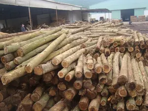 MEJOR PRECIO DE MADERA DE ACACIA ASERRADA PARA PALÉS EN VIETNAM - Product Image 4