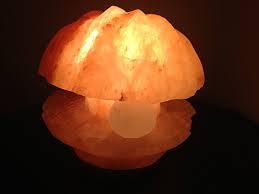 Himalayenne En Forme de Coquille Lampes à Sel - Product Image 3