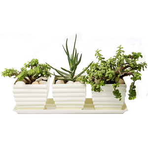 Set of 3 White Flower <b>Herb</b> Planter Set with Tray Galvanized Metal <b>Herb</b> Planter <b>Pots</b> for Home and <b>Garden</b> Decoration - Product Image 1