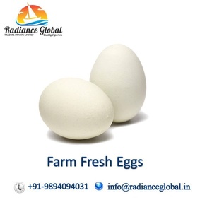 chicken eggs - Product Image 3