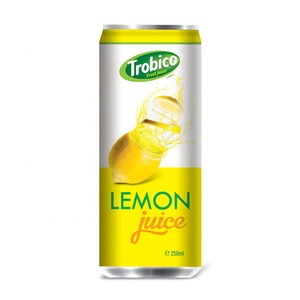 Private label High Quality Soft Drink 250ml Lemon Juice Manufacturing Juice Drink