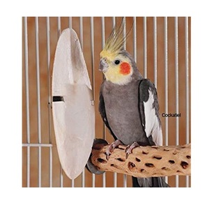 CUTTLE FISH <b>BONE</b>/CUTTLEBONE/<b>SQUID</b> <b>BONE</b> for <b>BIRD</b> - Product Image 1