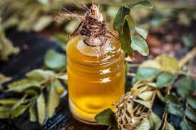 Aceite esencial de hoja de curry puro 100% | Aceite Murraya Koenigii para el crecimiento del cabello, Ayurveda y aromaterapia | Exportación a granel desde la India - Product Image 5