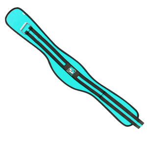 Saar Đai Nâng Tạ Sản Phẩm Bán Chạy Nhất Ngành Công Nghiệp Đai Chất Liệu Neoprene Hỗ Trợ Lưng Tập Thể Dục Thể Hình Nặng - Product Image 4