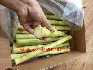 น้ำอ้อยสดและแช่แข็งแบบเวียดนามสำหรับ100% น้ำผลไม้ gimex ธรรมชาติ84984418844 - Product Image 5