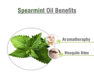 Aceite Esencial Puro de Mentha Spicata, Destilado al Vapor, Extracto Natural para el Cuidado de la Piel y Personal, Venta al Por Mayor - Product Image 2