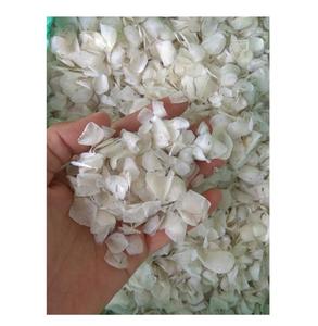 Tedarikçisi kurutulmuş balık pulu-İhracat balık pulu fabrika fiyat Ossein balık terazi - Product Image 1