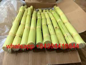 น้ำอ้อยสดและแช่แข็งแบบเวียดนามสำหรับ100% น้ำผลไม้ gimex ธรรมชาติ84984418844 - Product Image 3