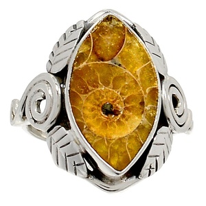 Anillo de amonita de Plata de Ley 925, joyería increíble - Product Image 1