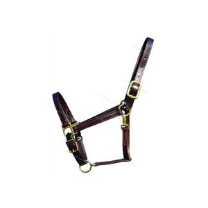 Bride cheval licou en cuir personnalisé, licou spécial, avec raccords en laiton - Product Image 1