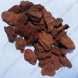 2021 Écorce de pin Offre Spéciale du Vietnam - Product Image 6