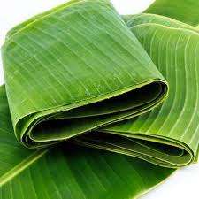 ใบตองสดใบกล้วยเขียวจากเวียดนาม - Product Image 6