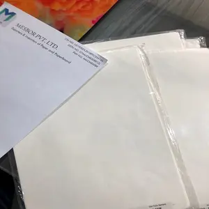 Natural Shade Printing Paper