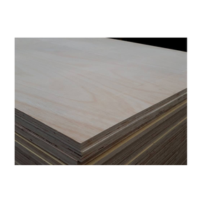 Vente chaude-feuille de contreplaqué de la plus haute qualité au Vietnam-vente en gros de contreplaqué de bouleau à bas prix - Product Image 5