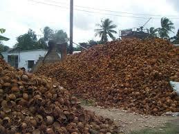 Venta de Carbón de Cáscara de Coco-Sin Humo-Tamaño Natural - Product Image 6