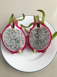 FRESH DRAGON FRUIT PREMIUM GRADO DE VIETNAM - Product Image 4