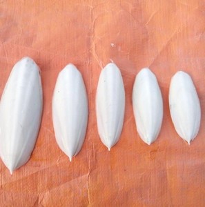 Hueso de sepia, mejor precio, gran oferta - Product Image 5