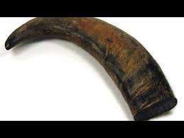 แต่งแตรควายสําหรับเครื่องใช้บนโต๊ะอาหารตกแต่งและขัดแตรควายสําหรับตกแต่งบ้านสําหรับขาย - Product Image 3