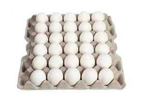 eggs chicken farm fresh - Product Image 3