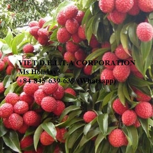 ราคาต่ําสุด แหล่งกําเนิดสินค้าที่ชัดเจนสําหรับลิ้นจี่แช่แข็งบริสุทธิ์ 100% - Product Image 6