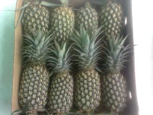 Piña fresca de Vietnam, venta al por mayor - Product Image 2