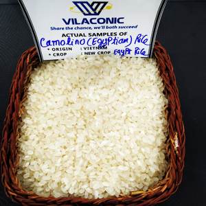 RIZ CALROSE EN VRAC/RIZ À GRAIN COURT 5% RIZ CASSÉ/ROND DE HAUTE QUALITÉ-ANNA DO W/A + 84982153058 - Product Image 3