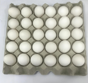 farm chicken eggs - Product Image 1