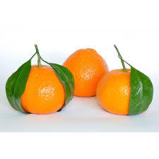 Aceite Esencial de Mandarina 100% Puro y Orgánico, Prensado en Frío, Exportación a Granel desde Italia, Precios Bajos, Certificado GMP, Materia Prima de Cáscara de Mandarina - Product Image 3