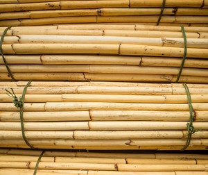 หวายคาลาเมส เทเนียส สำหรับทำเฟอร์นิเจอร์หัตถกรรม - Product Image 4