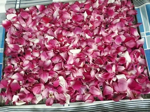 ฟางข้าว-ธรรมชาติ-2021 - Product Image 6